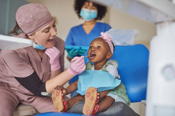 Best Preventive Dentistry  in Dolton, IL